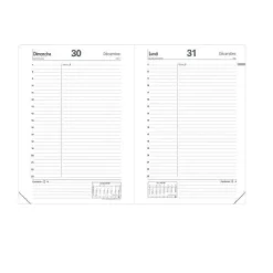 Cheap RETIF Agenda 2021 Abp1 Fr Impala 13X21Cm
