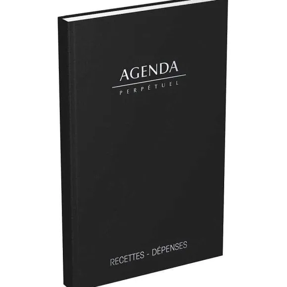 Flash Sale RETIF Agenda Perp Tuel Des Recettes Et Des D Penses 14X22Cm 1 Jour / Page Noir
