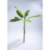 Cheap RETIF Bananier Artificiel H.200 Cm