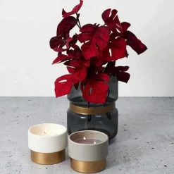 Shop RETIF Bougie Parfum E Bicolore 10.5Cm Senteur Orchid E Blanche