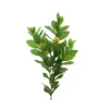 Hot RETIF Branche Citronnier Avec Fruits L.80 Cm