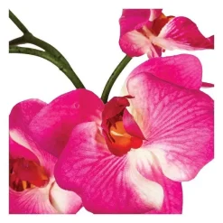 Clearance RETIF Composition Florale D'Orchid Es Artificielles Vase En C Ramique H40Cm