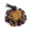 Discount RETIF Décorations Naturelles Color Es D'Automne En Filet - Par 70G