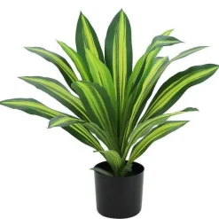 Fashion RETIF Dracena Dans Pot 13Cm H50Cm