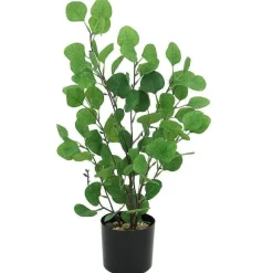 Fashion RETIF Eucalyptus Vert Dans Pot H60Cm