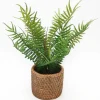 New RETIF Foug Re En Pot Effet Cannage H30Cm