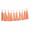 Flash Sale RETIF Guirlande 20 Tassels 34 Cm Corail - Par 6 Lots De 1