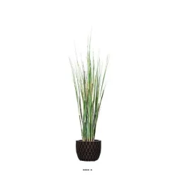Best RETIF Herbe Gramin E Artificielle En Pot H95Cm 20Cm