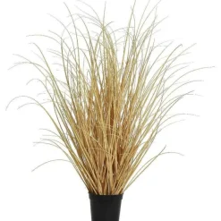 Online RETIF Herbe Seche En Pot H59 Cm