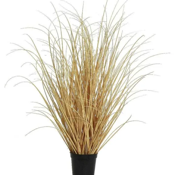 Online RETIF Herbe Seche En Pot H59 Cm