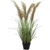 Sale RETIF Herbes De La Pampa H 110 Cm