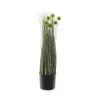 Hot RETIF Herbes Vertes Dans Pot 80Cm