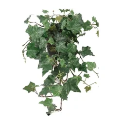 Best Sale RETIF Lierre Arborescent Artificiel En Pot H55Cm 35Cm