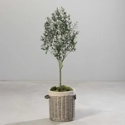 Discount RETIF Olivier Artificiel Dans Pot H 180 Cm