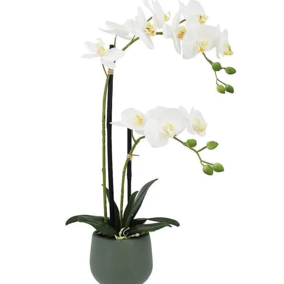 Shop RETIF Orchid E "Toucher Naturel" Dans Pot H51Cm