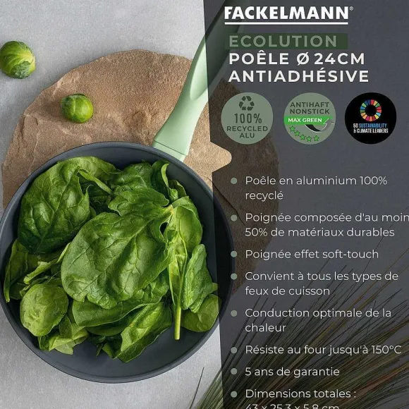 Clearance RETIF Po Le Frire Et Couvercle De Cuisson De 24Cm De Fackelmann Ecolution