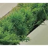 Flash Sale RETIF Recharge Feuilles Pe Persil Vert L25Cm Pour S Parateur Barrette L75Cm