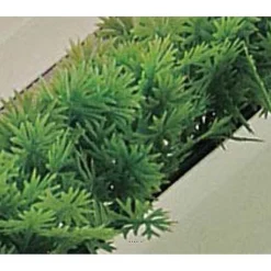 Flash Sale RETIF Recharge Feuilles Pe Persil Vert L25Cm Pour S Parateur Barrette L75Cm
