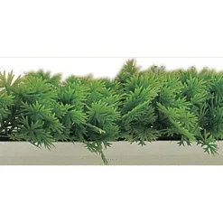 New RETIF S Parateur Barrette Feuille Plastique Persil H7,50Cm L75Cm Socle Blanc