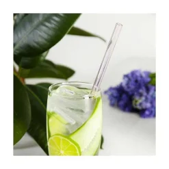 Discount RETIF Set 10 Pailles Droites En Verre Color Avec Goupillon