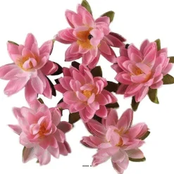New RETIF T Tes De Lotus X6 Rose Chaud En Sachet 7 50Cm Rose Soutenu