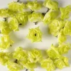 Hot RETIF T Tes De Rose Artificielle X24 Blanc Vert 5Cm Pour Boule De Rose