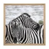 Hot RETIF Tableau Toile Murale Encadr E Imprim E Animaux Sauvages 58X58Cm
